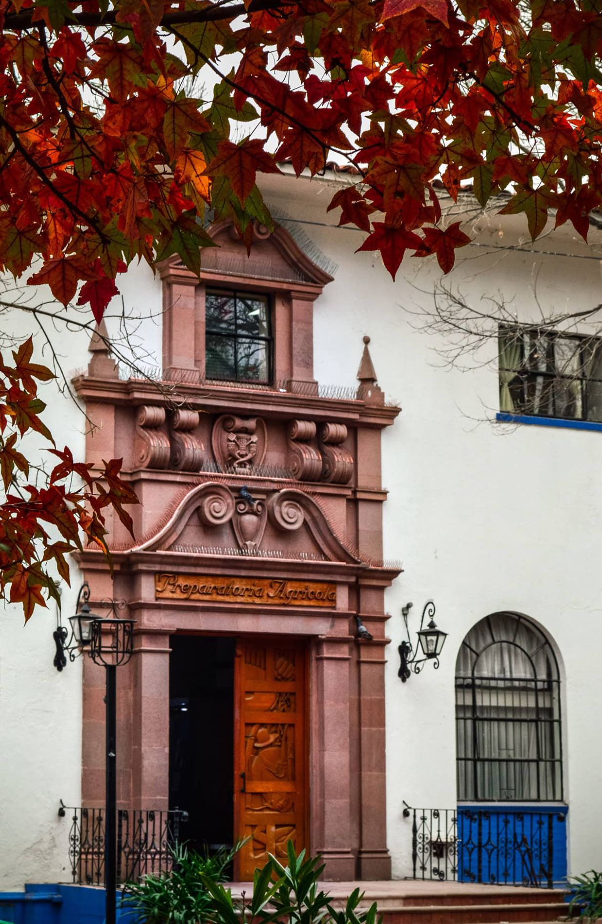 Preparatoria_1